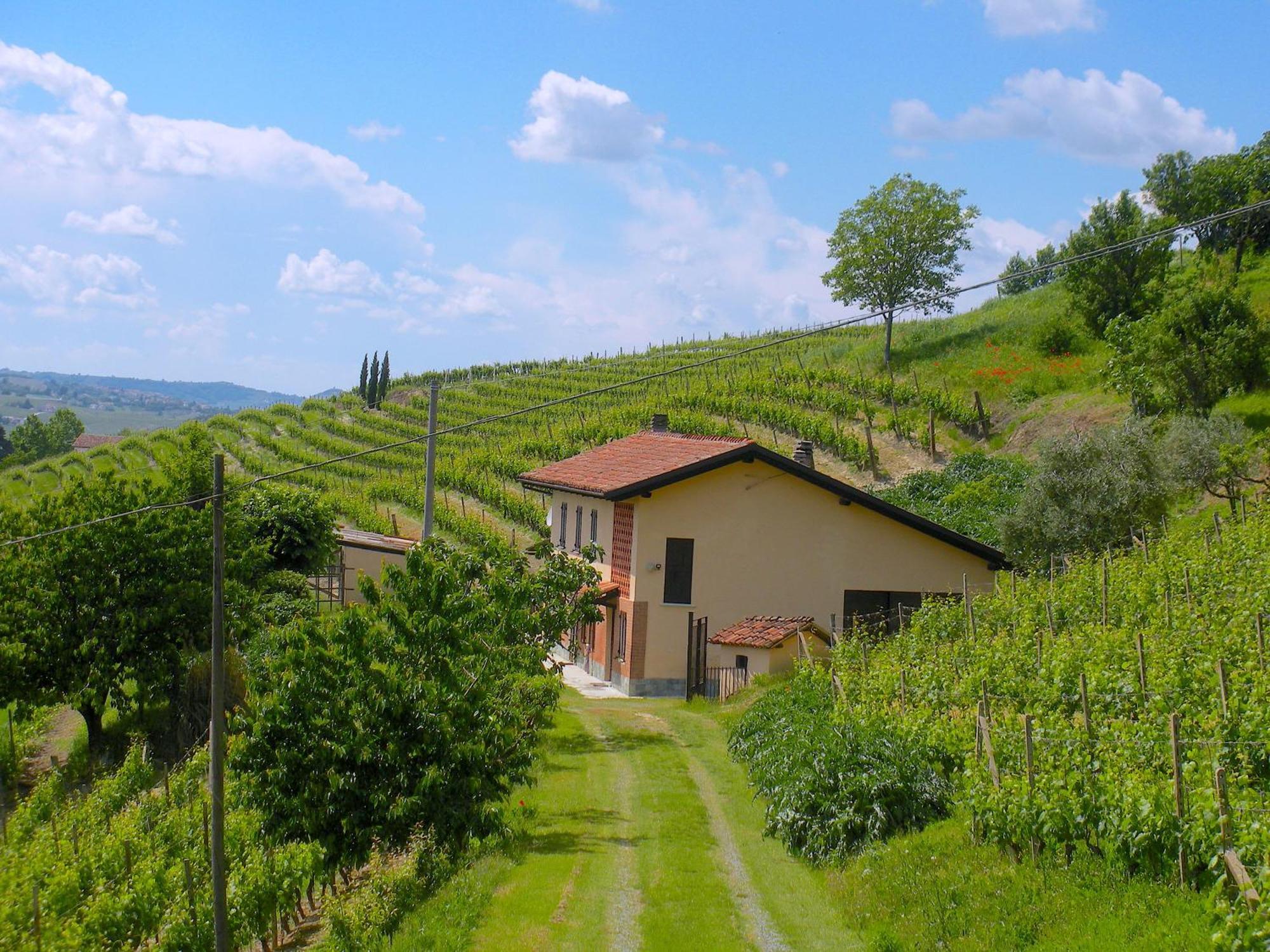 Villa Cascina Tra I Vigneti A Nizza Monferrato Extérieur photo