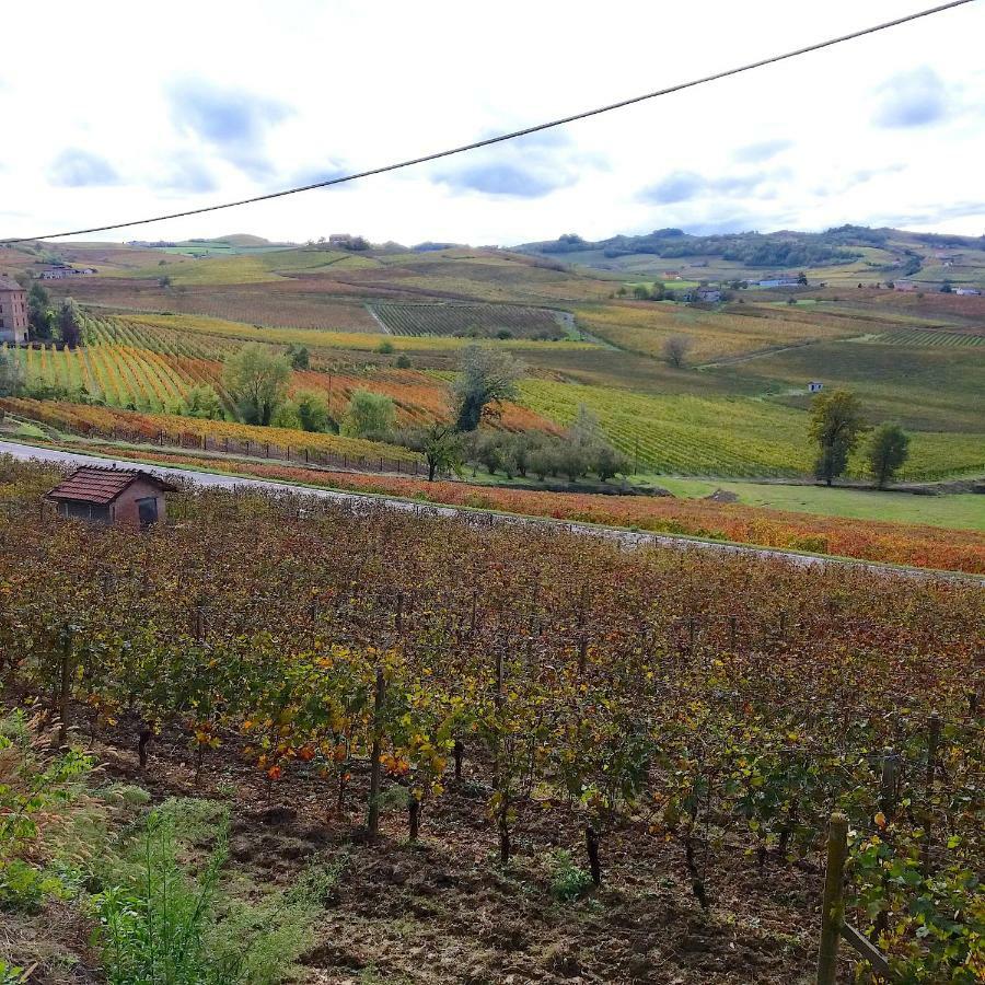 Villa Cascina Tra I Vigneti A Nizza Monferrato Extérieur photo