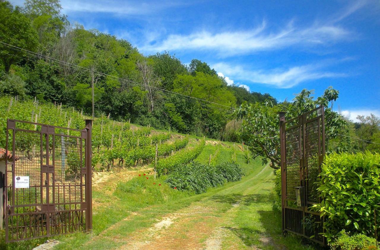 Villa Cascina Tra I Vigneti A Nizza Monferrato Extérieur photo